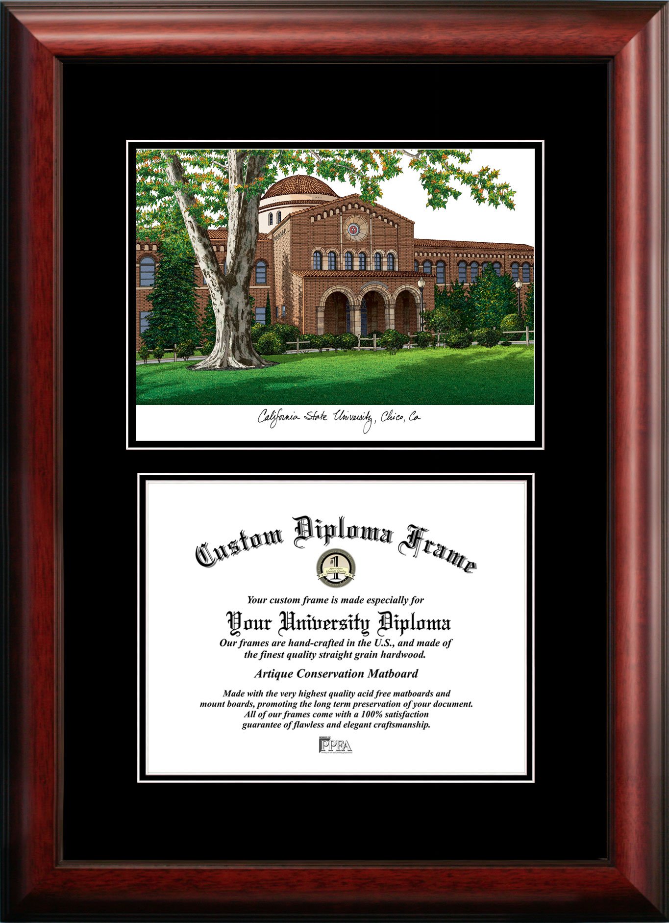 Campus Images CA919D Cal State Chico Diplomate Diploma Frame, 11