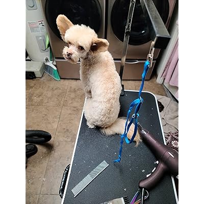 go pet grooming table
