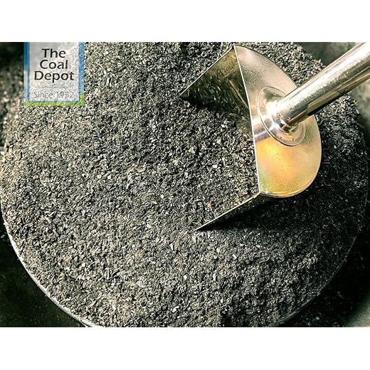 Sacristi The Coal Depot Air Purifier Activated Charcoal Dehu