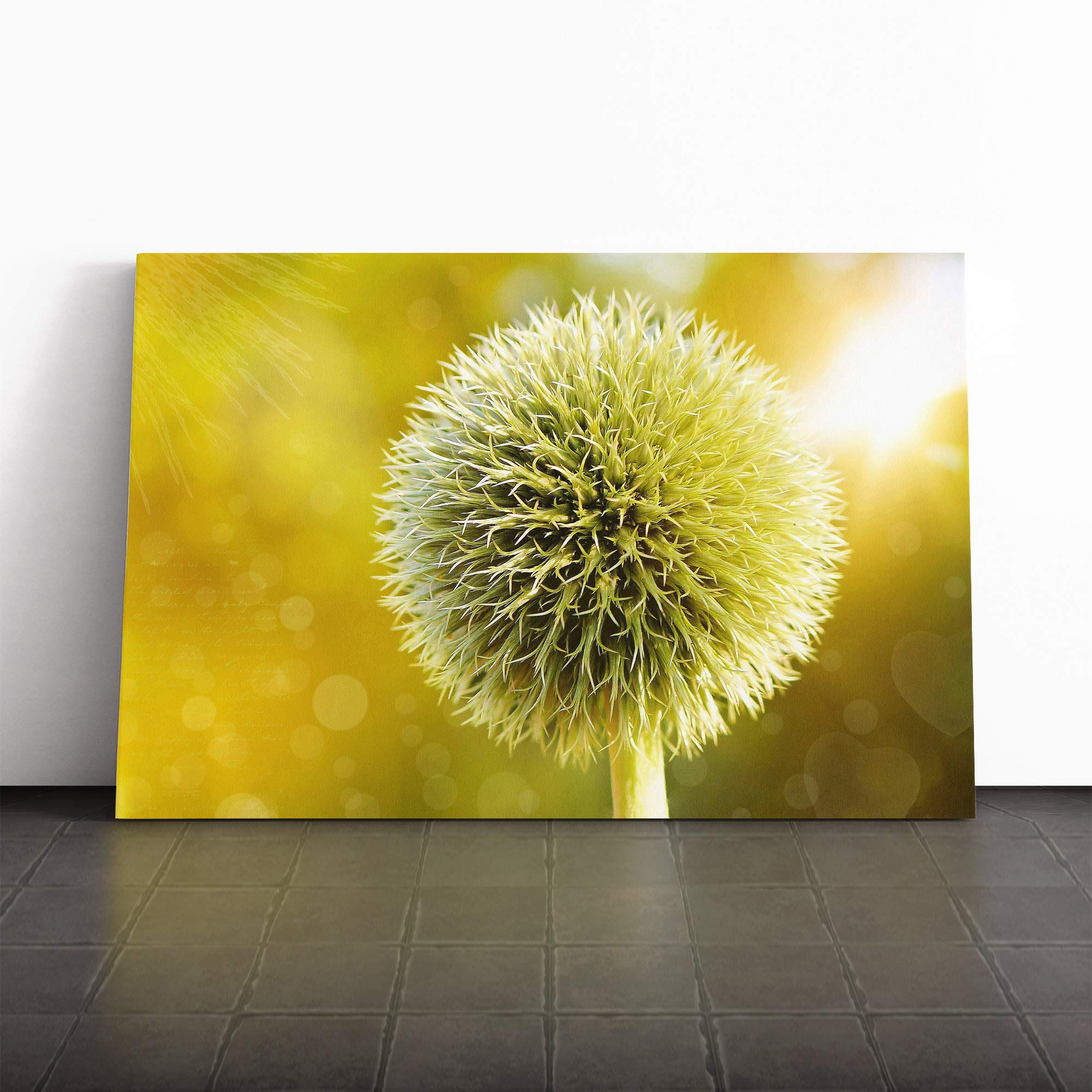Yellow Flower Globe Thistle (2) Canvas Print | Gallery Wrapped 30mm Frame Wall Art | 30x20 inches | Ready to Hang | Modern Floral Picture | Living Room Bedroom Lounge Office