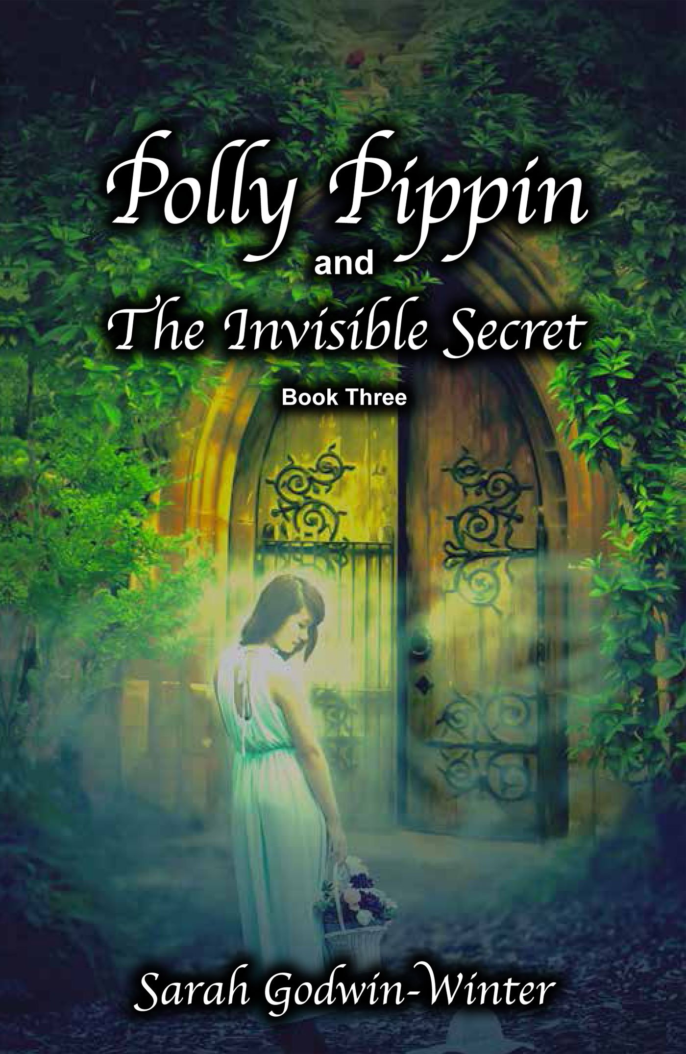 Polly Pippin and The Invisible Secret (Polly Pippin Series Book 3)