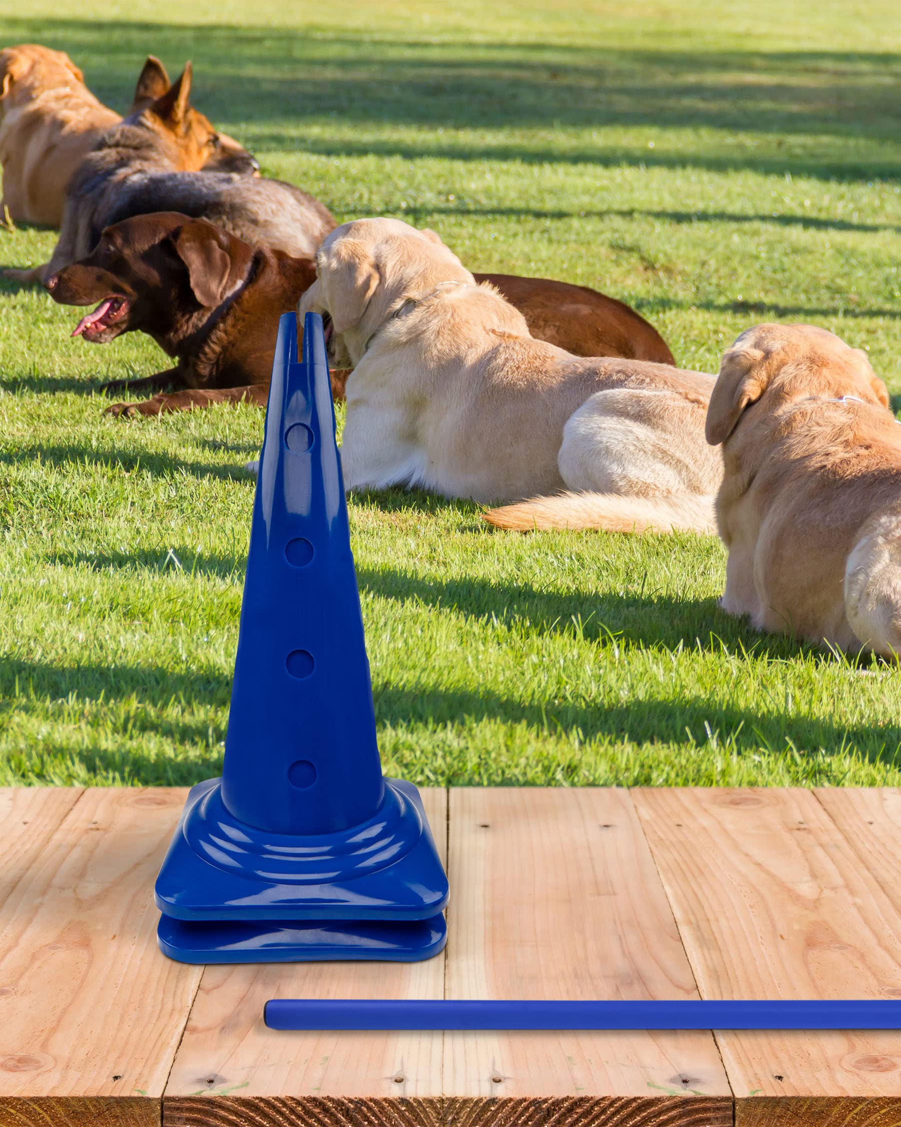 Kombi Kegel-Hürde – Steckhürde für Agility Training – Sprung- & Slalom-Hütchen für Hund, Sport, Pferd & Kind – 50 cm