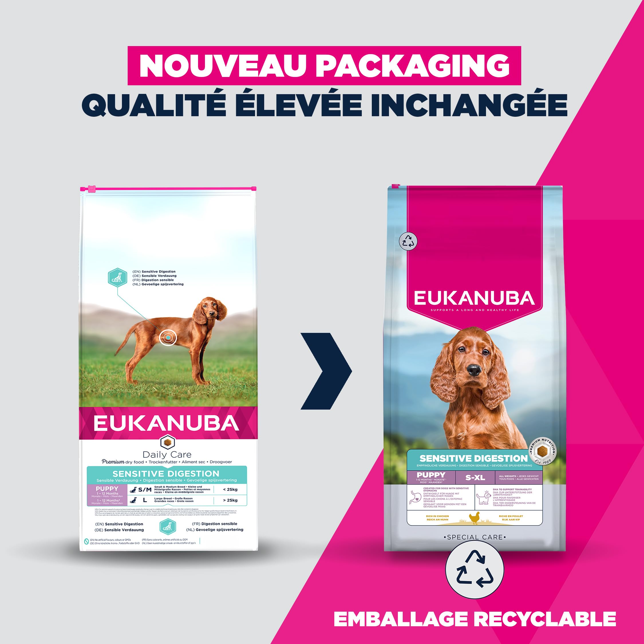 EUKANUBA Sensitive Digestion Aliment pour Chiots au Poulet et au Riz très digestible - Aliment Sec Special Care adapté à l’estomac des Chiens Juniors sujets aux Troubles digestifs, 12 kg