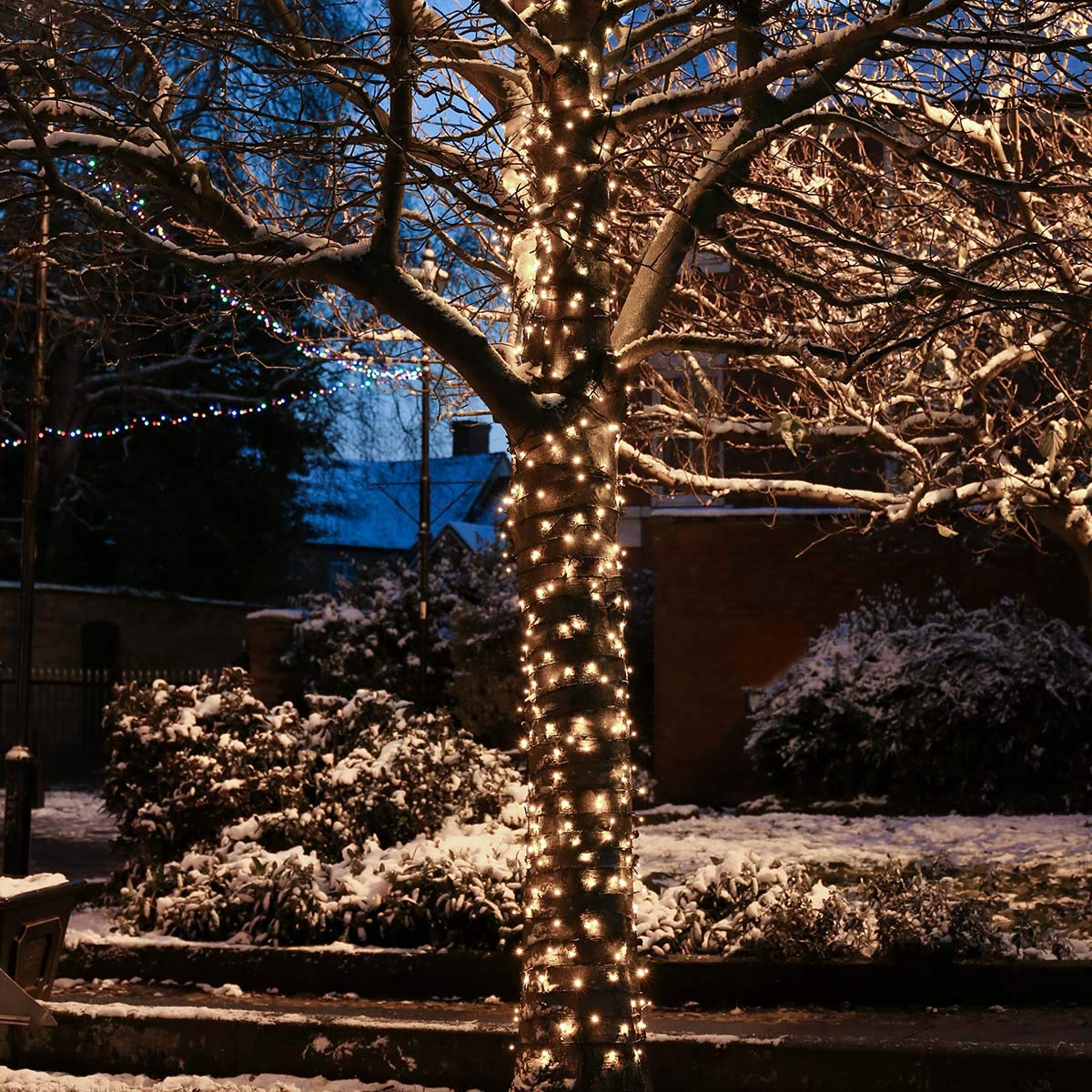 Festive Lights LED Lichterkette – ConnectPRO – erweiterbar bis 950m - wetterfeste Outdoor Profiqualität (Warmweiß, 20m)