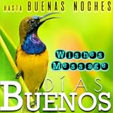 Set favorite images to your wallpaper