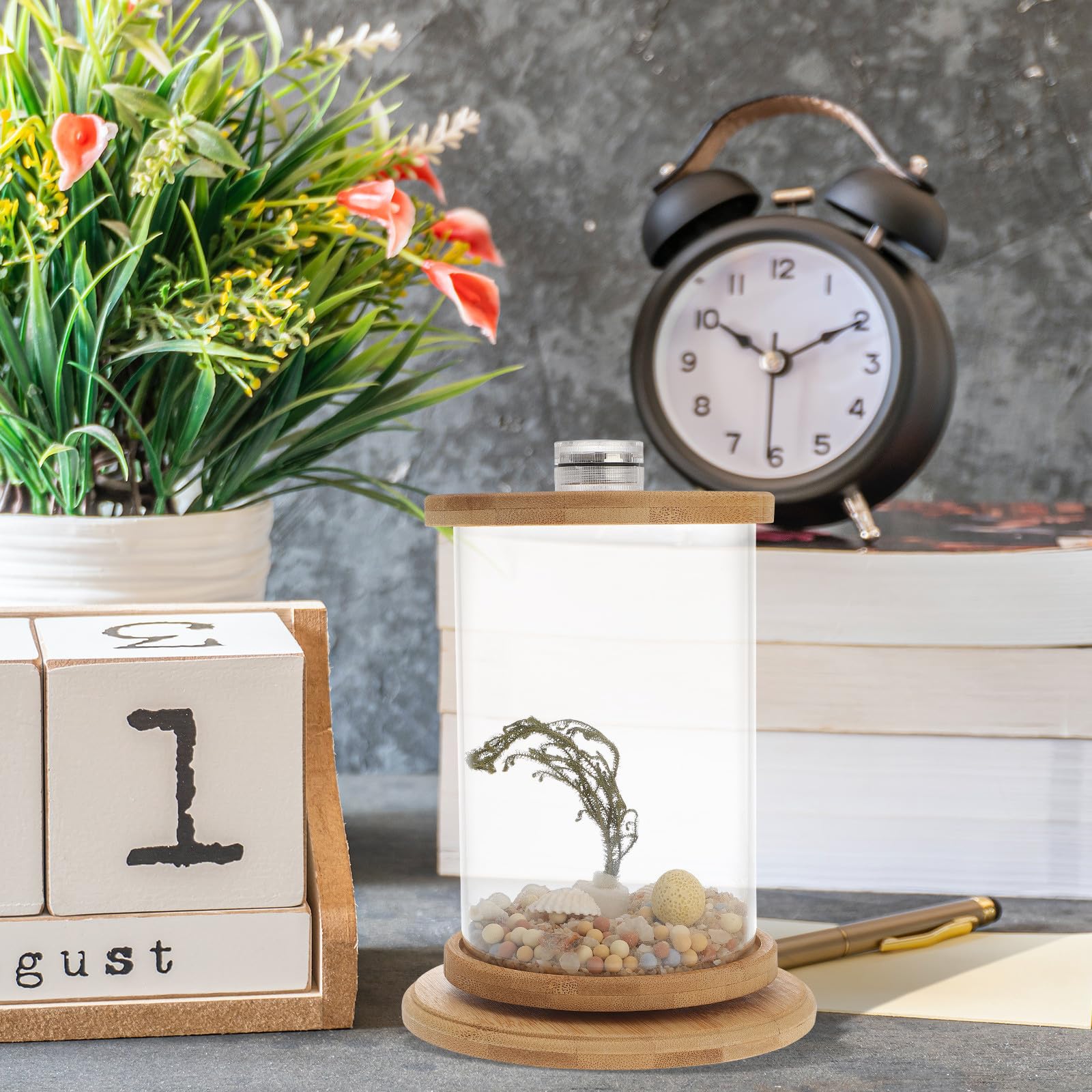 Dekoratives Aquarium für Schreibtisch als Büroaccessoire, Grün