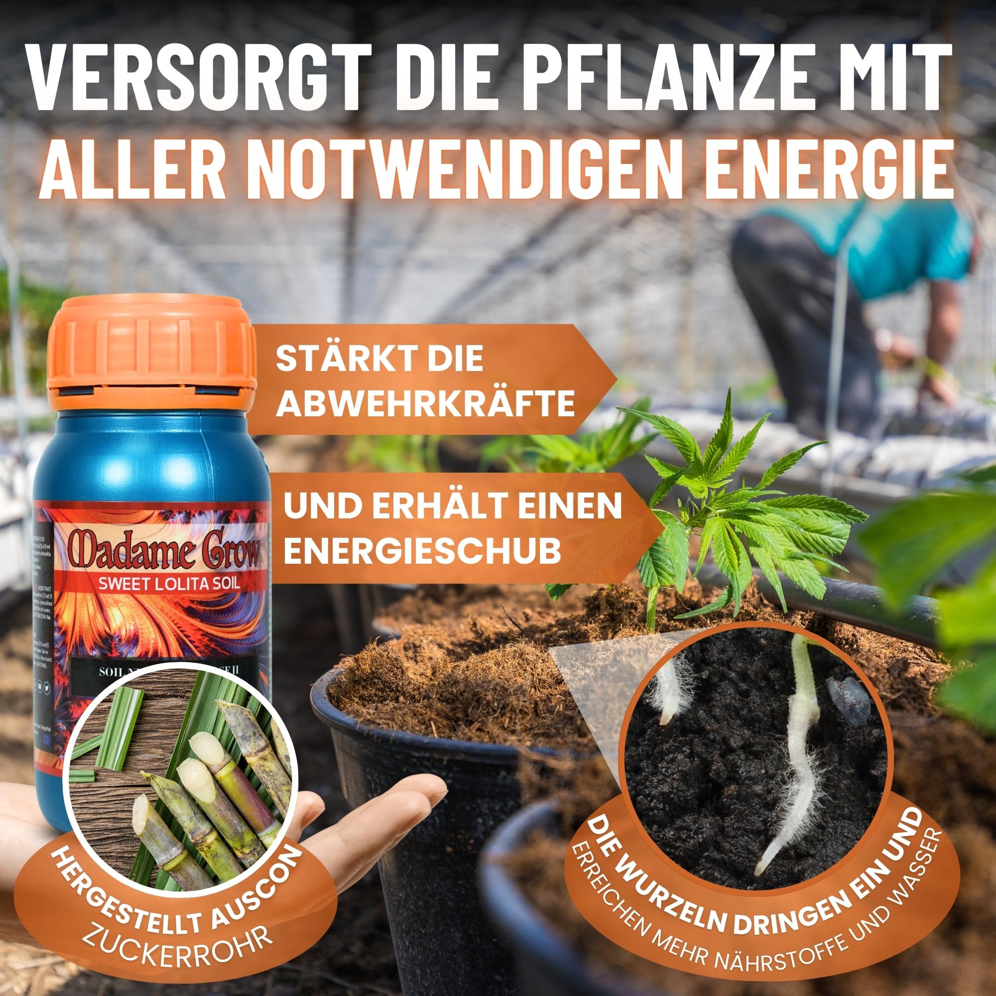 MADAME GROW Dnger 420 grne Pflanzen - Dnger fr grne Pflanzen -  Flssigdnger fr Pflanzen - Universaldnger fr Wachstum - Dnger fr die  Blte ...