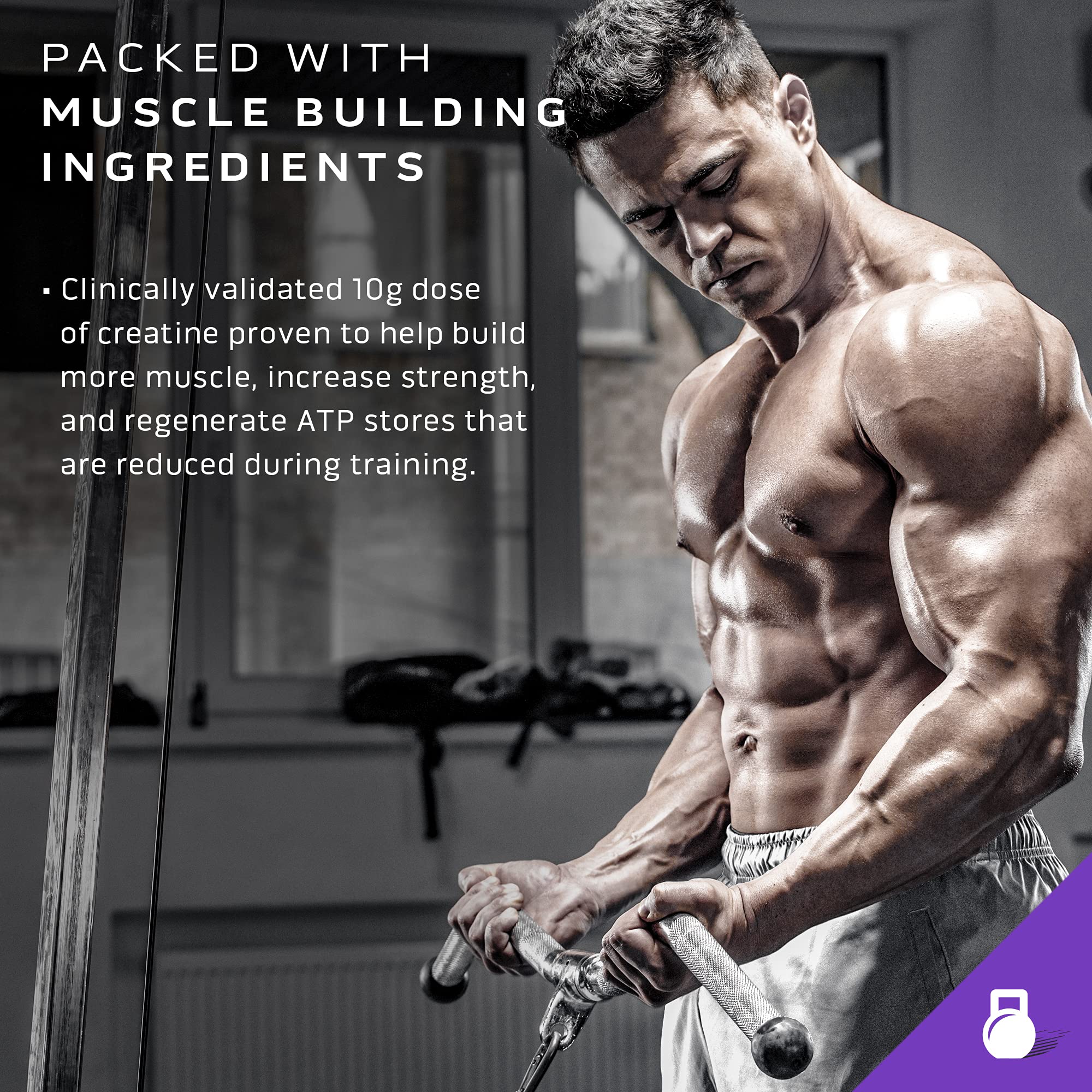 Mass Gainer Protein Powder MuscleTech MassTech Extreme 2000 Muscle