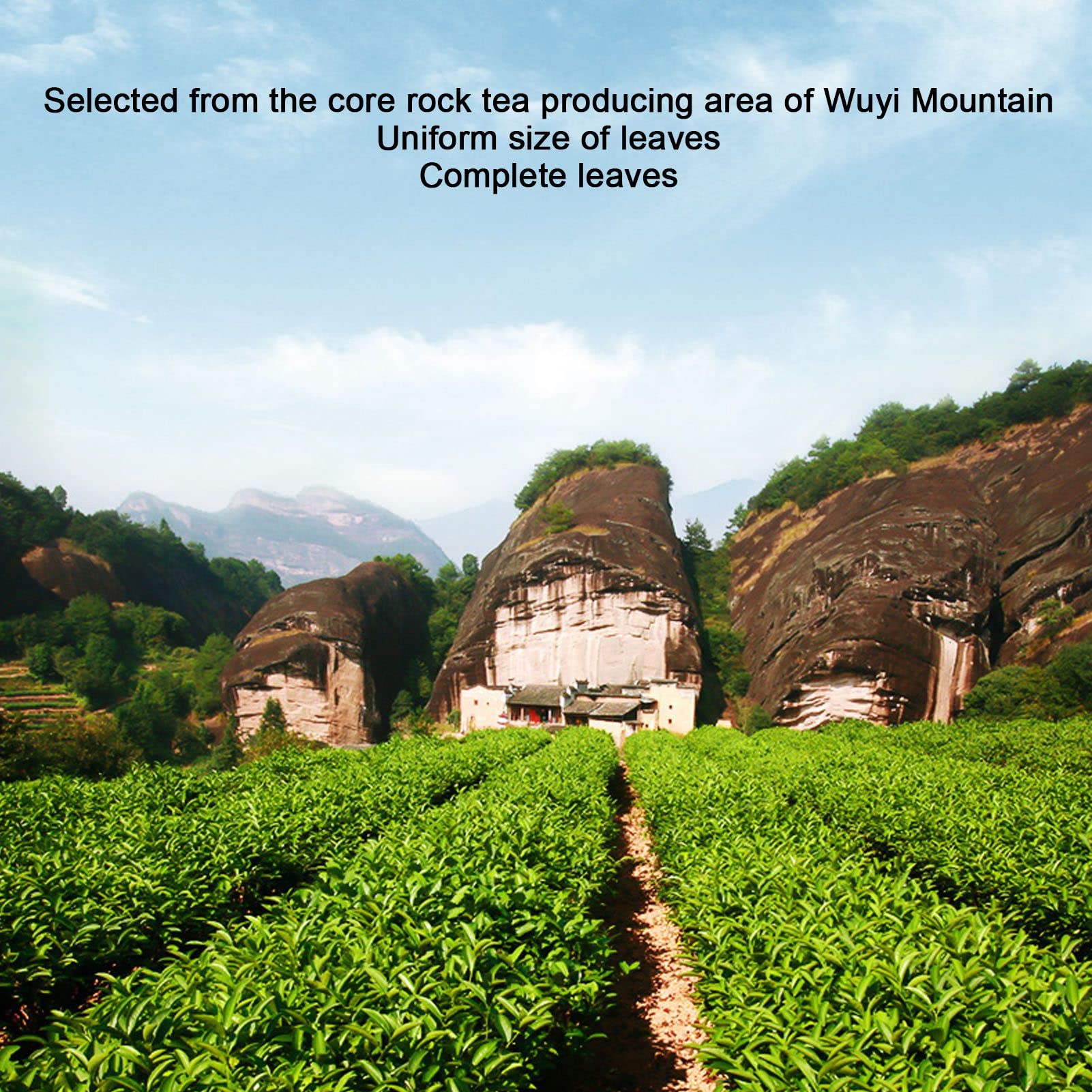 5 uncji Da Hong Pao Organiczna herbata Oolong z pudełkiem na prezenty, 20 torebek na herbatę, Chiny Fujian Wuyi Mountains Da Hong Pao Gongfu Tea, gęsty smak z prażonymi aromatami, długotrwały
