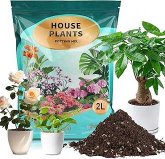 Potting Soil Mix 2qt for Indoor Plants, Organic Houseplant Soil Well Draining Dirt Ready to Use, Fit for House Plant Like Pothos, Philodendron, Monstera, African Violet