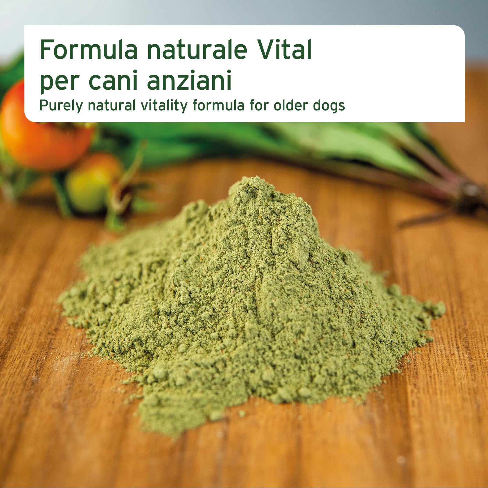 AniForte Senior Active Pulver 250 g für ältere Hunde - Mineralien, Aminosäuren & Vitamine für Hunde, unterstützt Gedächtnis- & Herzfunktion, Grünlippmuschel für Vitalität & Agilität, Senioren Futter