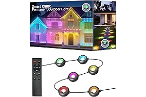 Luminescent Oasis Outdoor LED Fairy Lights