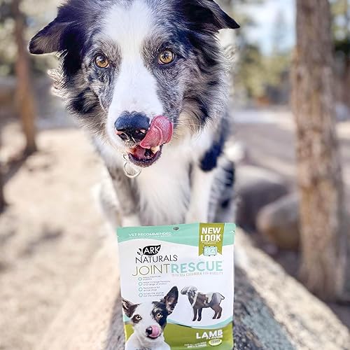Miniatura 7 de ARK NATURALS Joint Rescue Dog Chew