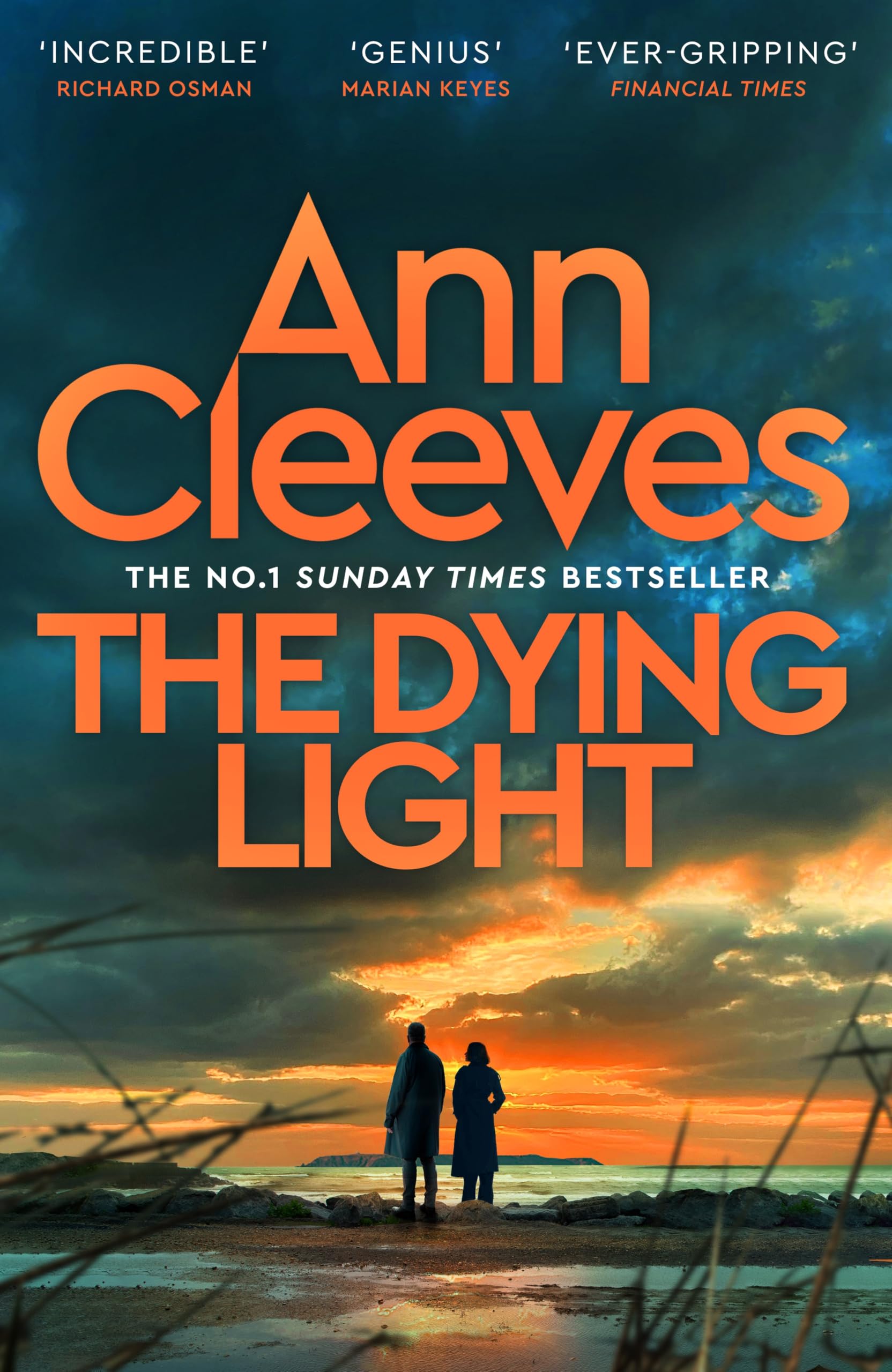 The Dying Light: The new page-turning Matthew Venn mystery from the Sunday Times bestselling author of the Vera and Shetland series (Two Rivers, 4)