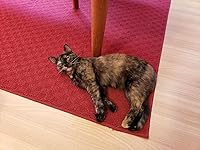 Review Image by hotdog12 hotdog12