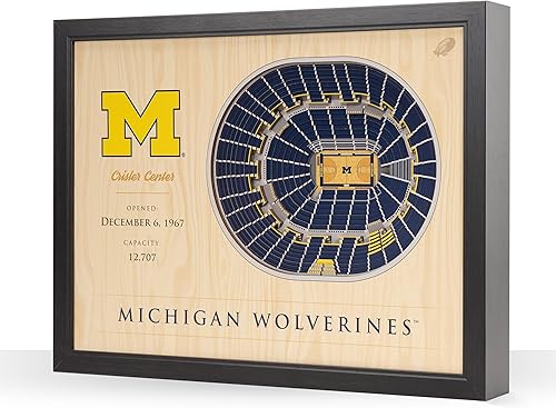 Miniatura 59 de YouTheFan NCAA Arte de Pared StadiumView de 25 Capas