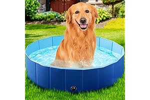 Foldable Pet Pool: The Perfect Summer Fun for Your Furry Friends