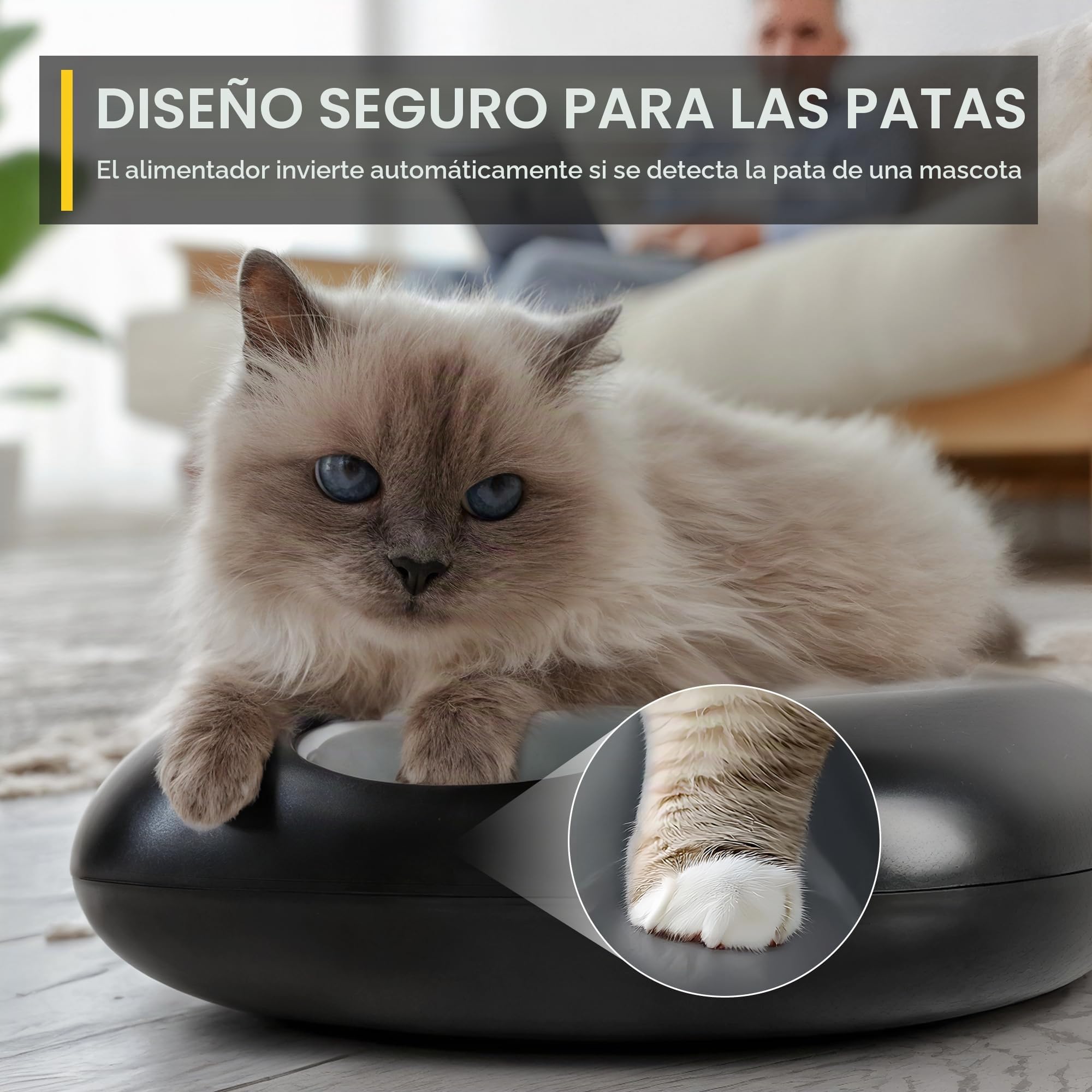 ALL FOR PAWS Dispensador Automático Inalámbrico de Comida para Gatos – para Alimento Húmedo y Seco con 2 Paquetes de Frío, Programable para 6 Comidas con Temporizador e Indicador de Batería Baja