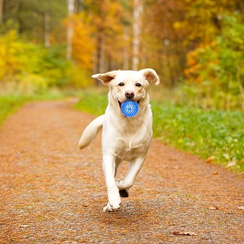 Miniatura 7 de Pelotas de juguete para perros de 3.5 pulgadas, paquete de 3, bolas chirriantes para perros, pelota chirriante para perros, juguetes de piscina para