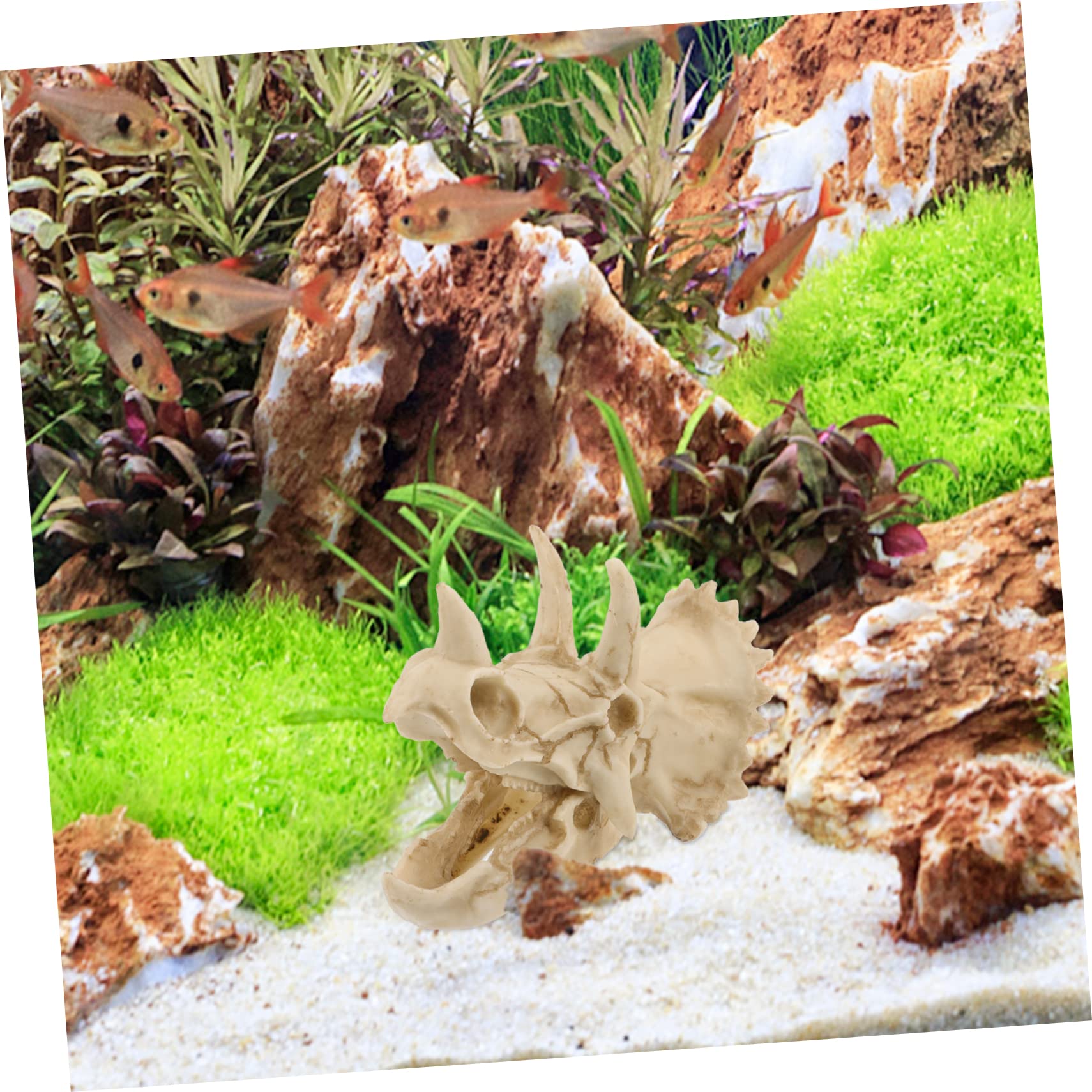 POPETPOP 4 Piezas Decoración De Pecera Escondite De Pecera Escondite De Camarones De Pescado Decoración del Terrario del Cráneo Adorno De Paisajismo De Acuario Pecera para Niños Resina