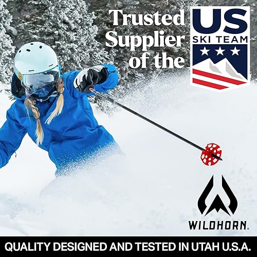 Miniatura 6 de Wildhorn Roca - Gafas de esquí para hombres y mujeres, antivaho y arañazos, 100% magnéticas, lentes de nieve para hombres, mujeres y adultos