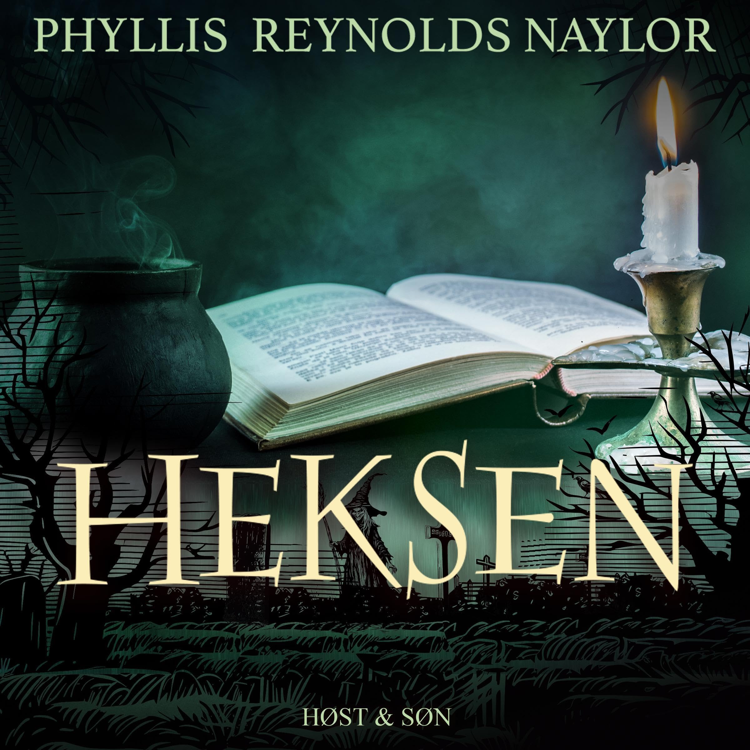 Cover art for Heksen