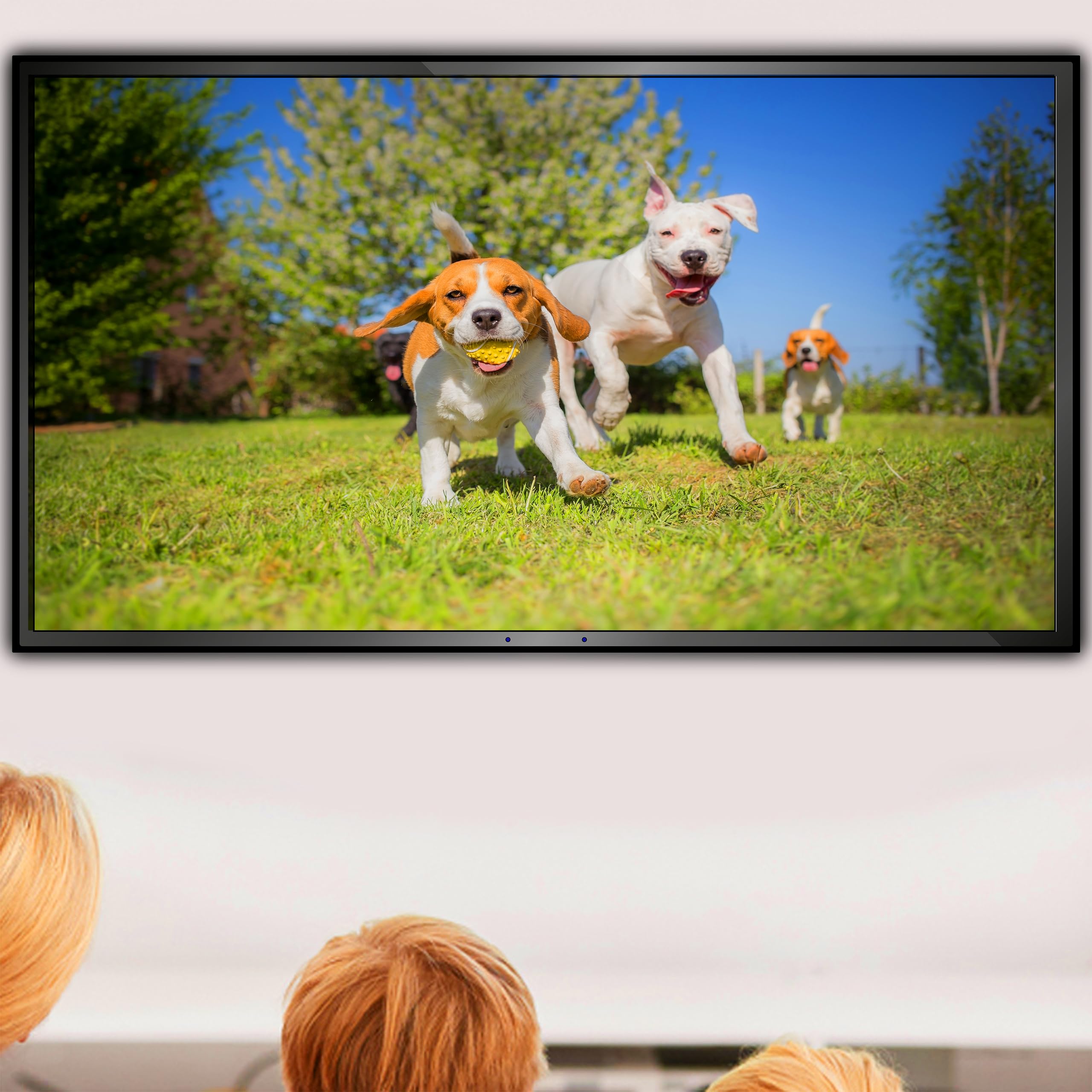 Retoo DVB-T2 Receiver, Tuner, Empfang Aller freien SD und HD, H.264, H.265, HDMI 1.4, 10bit HEVC, USB 2.0, LAN, Full-HD 1080p, Digital TV Kabelreceiver mit Fernbedienung Terrestrischer Decoder Schwarz