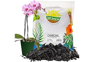 Horticultural Charcoal: Enhanced Terrarium and Orchid Care