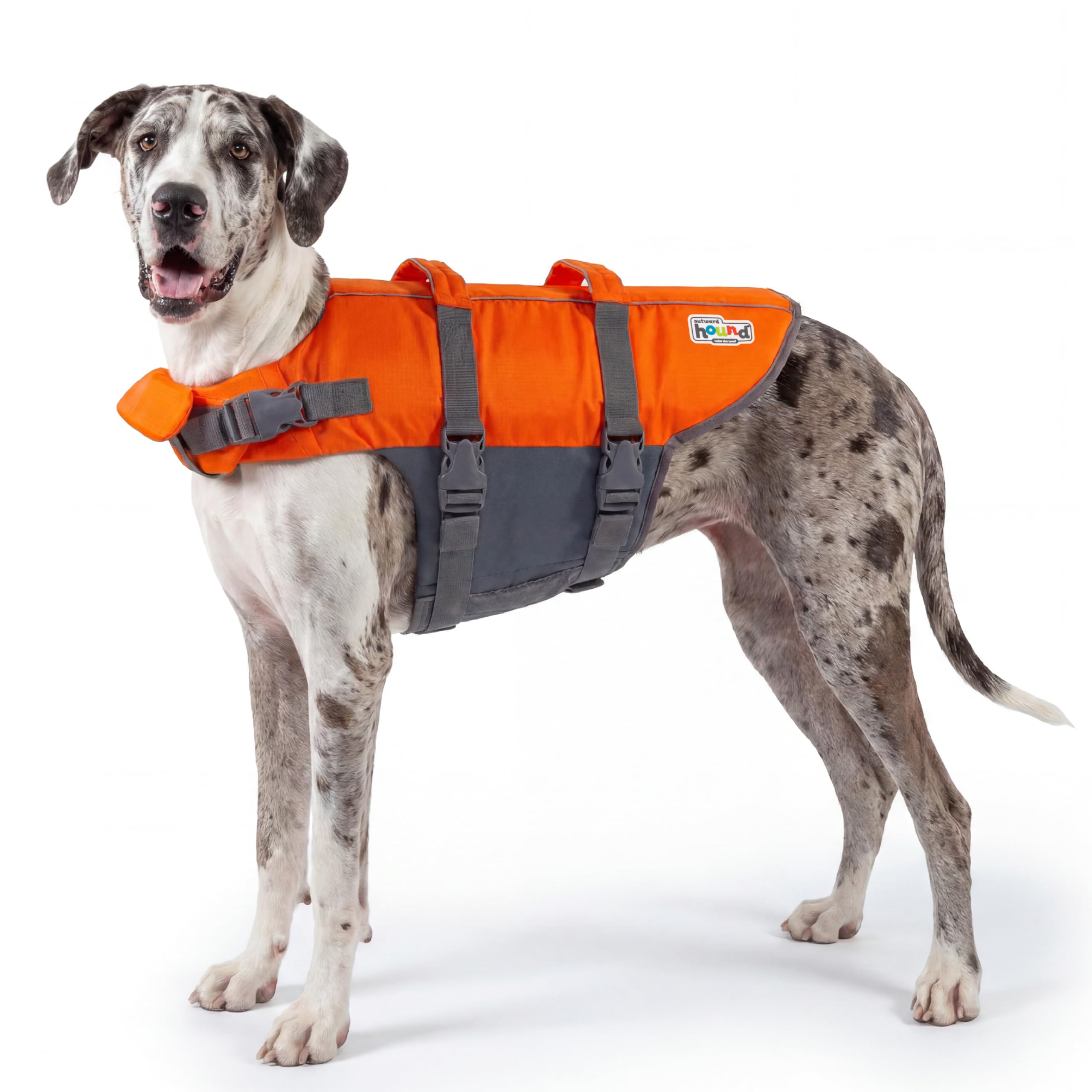 Amazon.com : Outward Hound Granby Splash Orange Dog Life Jacket