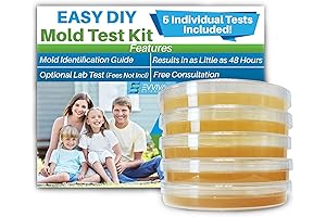 Evviva Sciences Allergen Home Test Kit: Detect Mold Discrepancies