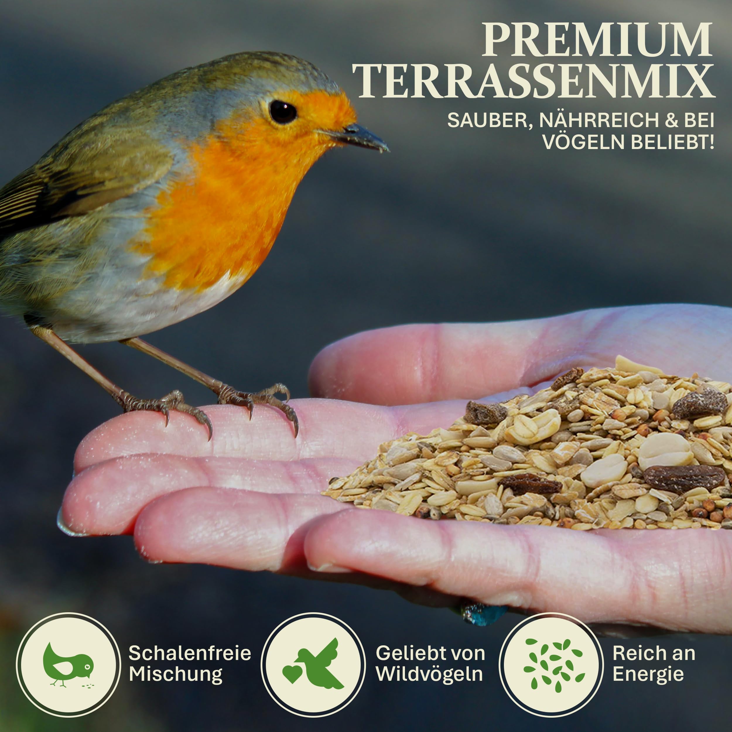 Mangiatoia Terrazzi Mix 10 kg | Mangiatoia semi di arachidi per Uccelli Selvatici | Mangiatoia semi di girasole decorticati | Mangiatoia schalenlos | Giardino uccelli | ganzjahres Mangiatoia