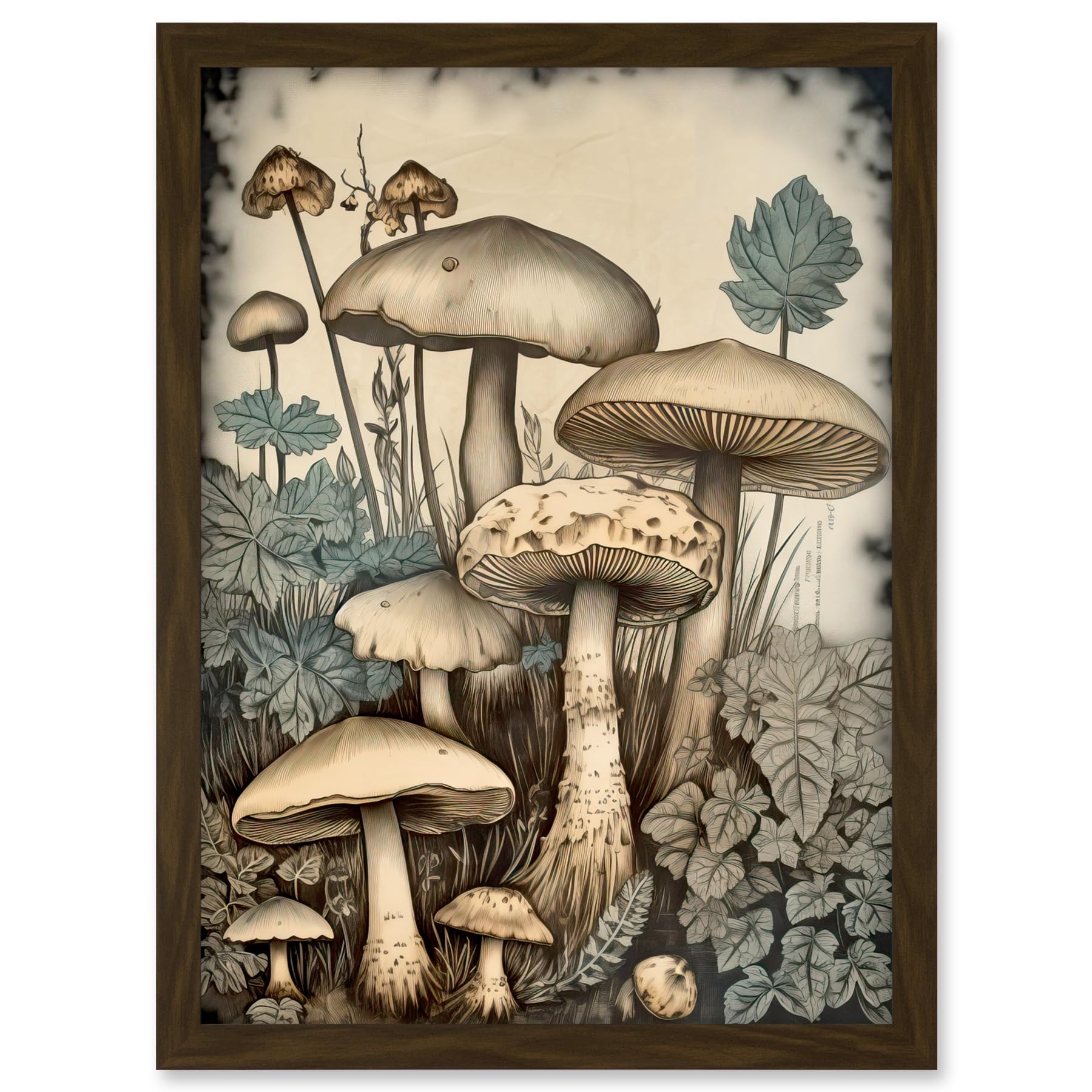 Artery8 Mushroom Fungi Watercolour Vintage Cottagecore Aesthetic Rustic Decor Artwork Framed A3 Wall Art Print