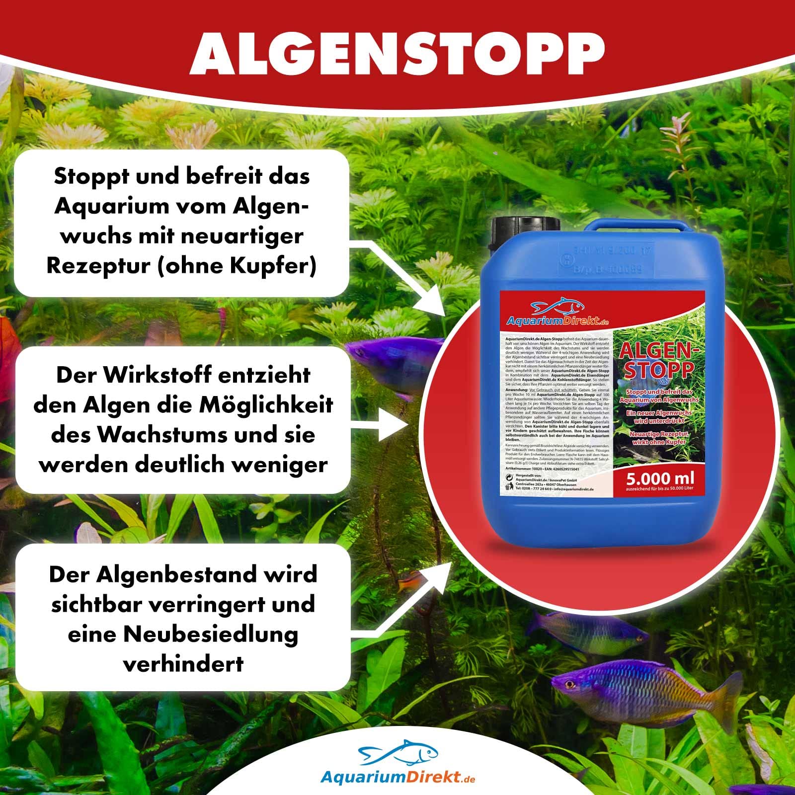 Algen-Stopp (Flüssiger Algenvernichter, Algenentferner für Ihr Aquarium - Stoppt und befreit nachhaltig Algenwuchs, neuartiger Rezeptur ohne Kupfer), Größe:5 L