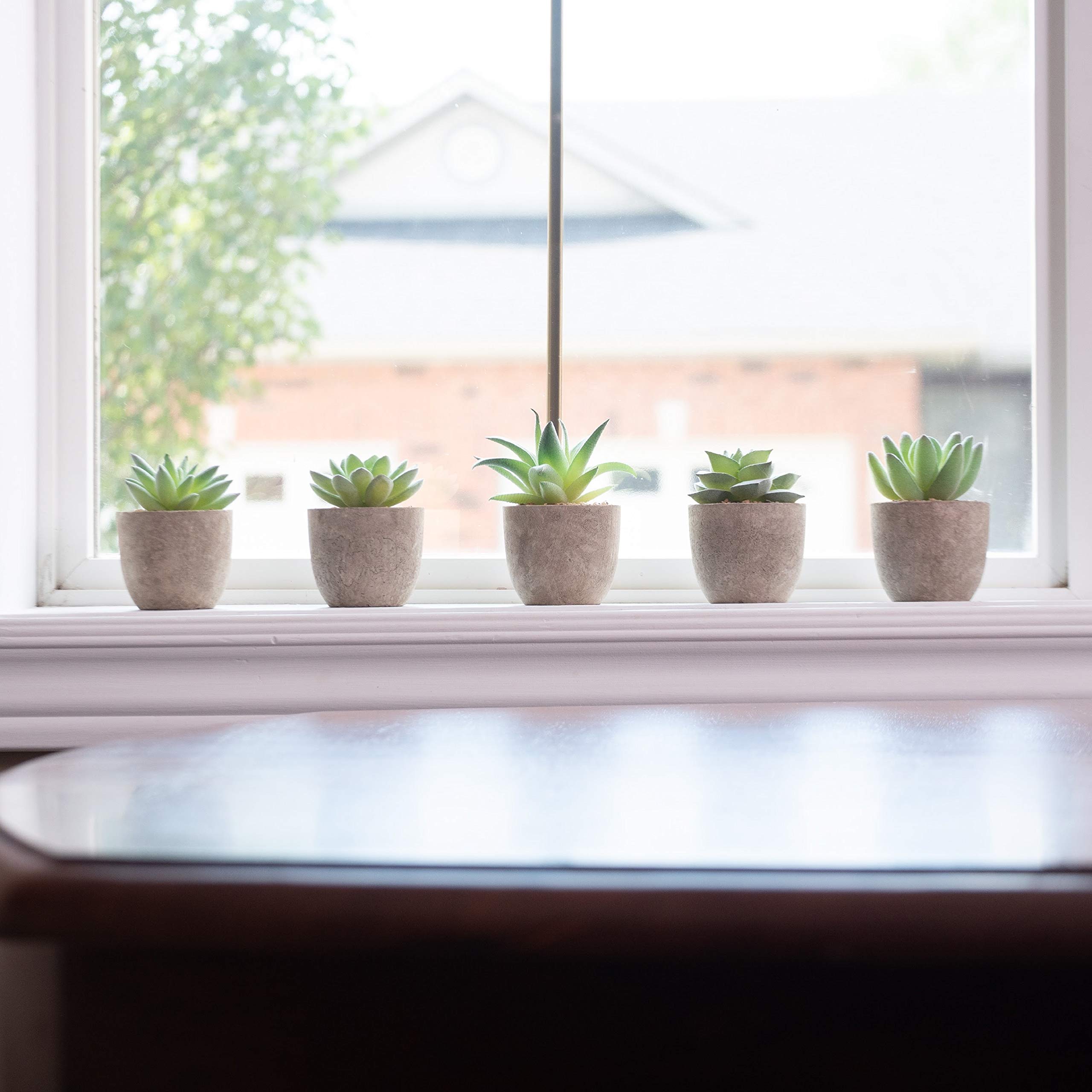 Korvea Set of 5 Artificial Succulent Plants Mini Assorted Fake