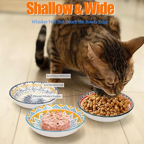 Miniatura 3 de Foraineam Juego de 6 cuencos de comida para gatos poco profundos de 5.5 pulgadas de ancho, cuencos de cerámica para gatos, platos para gatos de 8