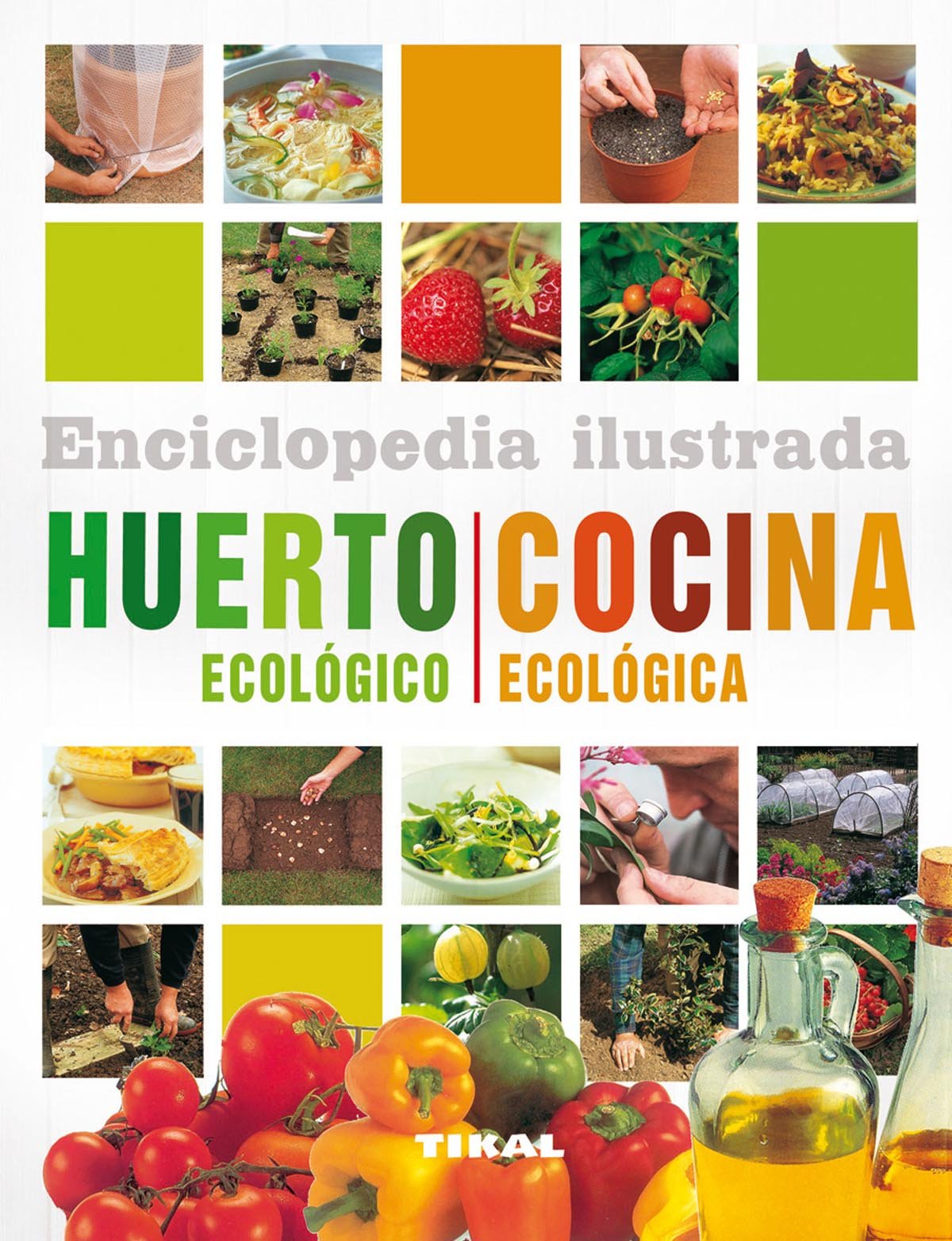 Huerto ecológico. Cocina ecológica