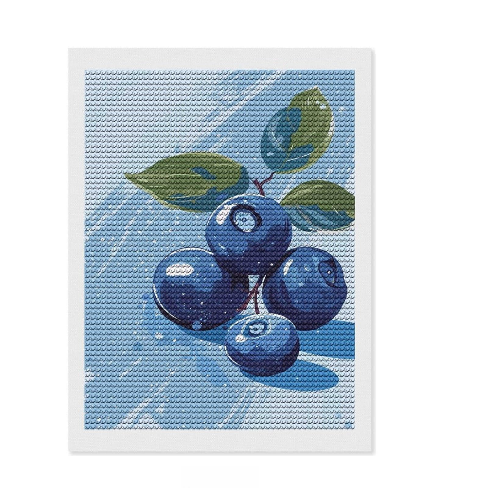 Junmoney Blueberries on Blue Background Diamond Painting Set 12"x16", Sparkling Round Gems, Satisfying Creative Project, Fun Craft Experience, Office Decor
