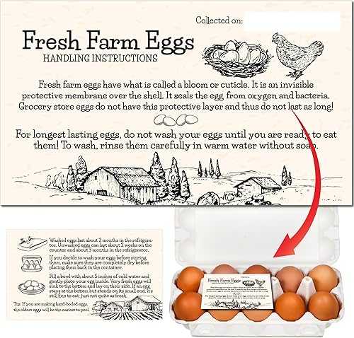 Havongki - 200 piezas - Instrucciones de manipulación de huevos frescos de granja de primera calidad accesorios de cuidado etiquetas de tarjetas