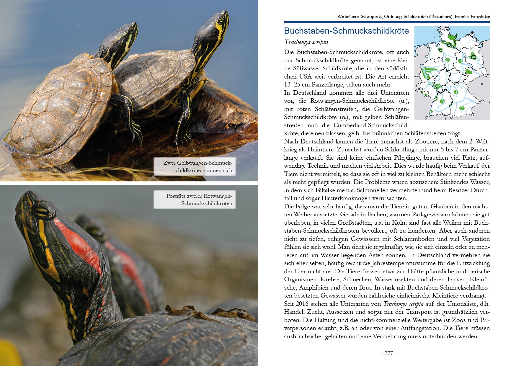 Unsere Exoten: Pflanzen, Pilze und Tiere als Neubürger in Deutschland