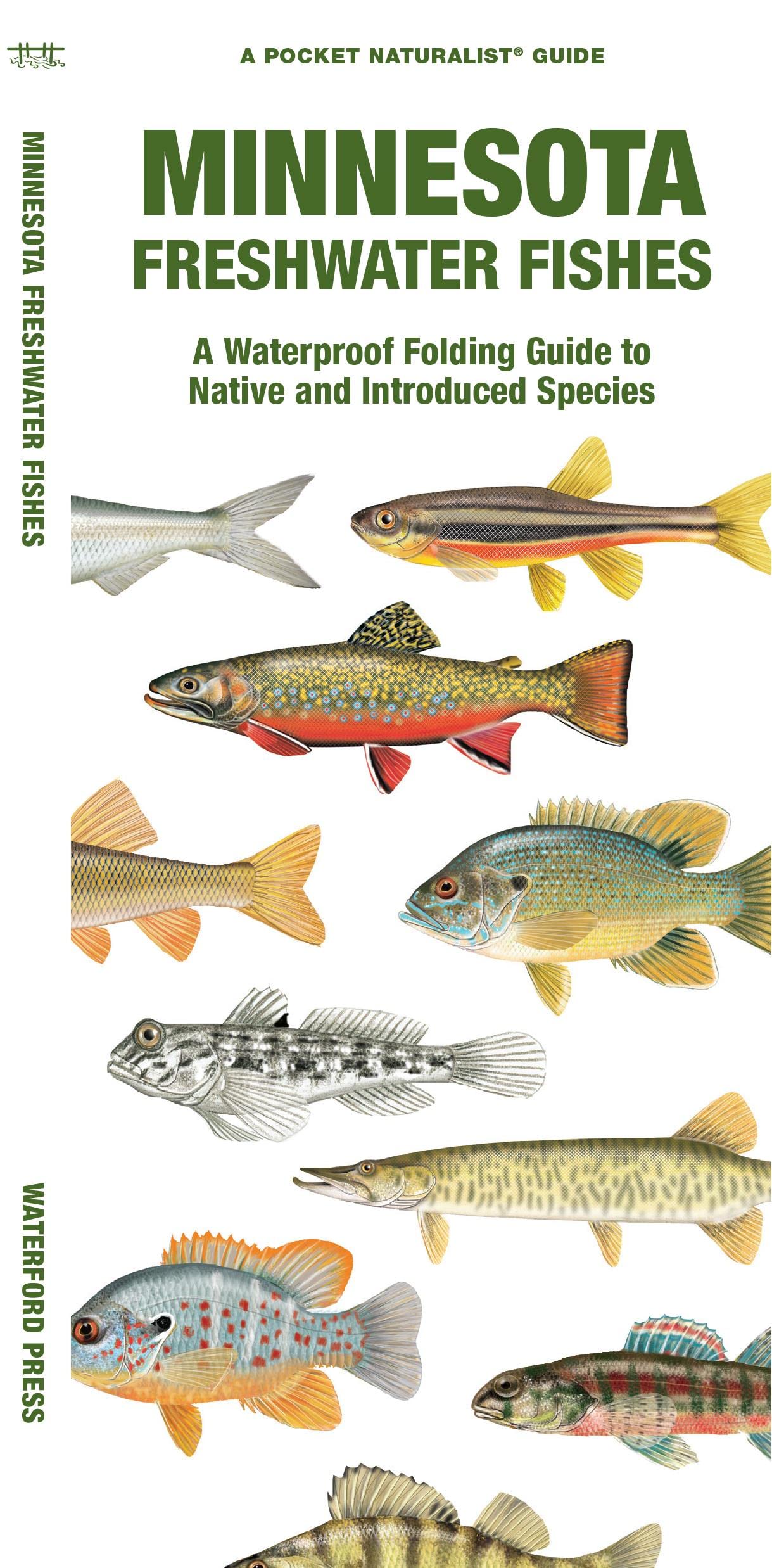 Minnesota Freshwater Fishes: A Folding Guide to Native and Introduced Species