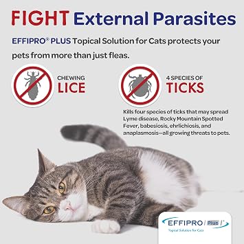 EFFIPRO Plus Topical Solution Waterproof Flea and Tick Cats Over 1.5 lbs