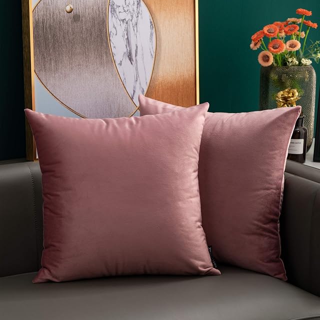 softpoint Velvet Cushion Covers Pink 45cm x 45cm Soft Decorative Throw Pillowcases 18 x 18inch for Couch, Bed, Sofa, Pack of 2(pink,18x18)