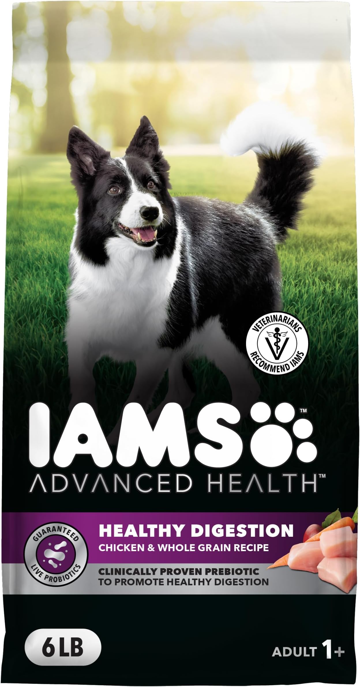 IAMS Advanced Health Dry Dog Food Healthy Digestion, Adult Dog Food with Real Chicken Recipe, 6 lb. Bag