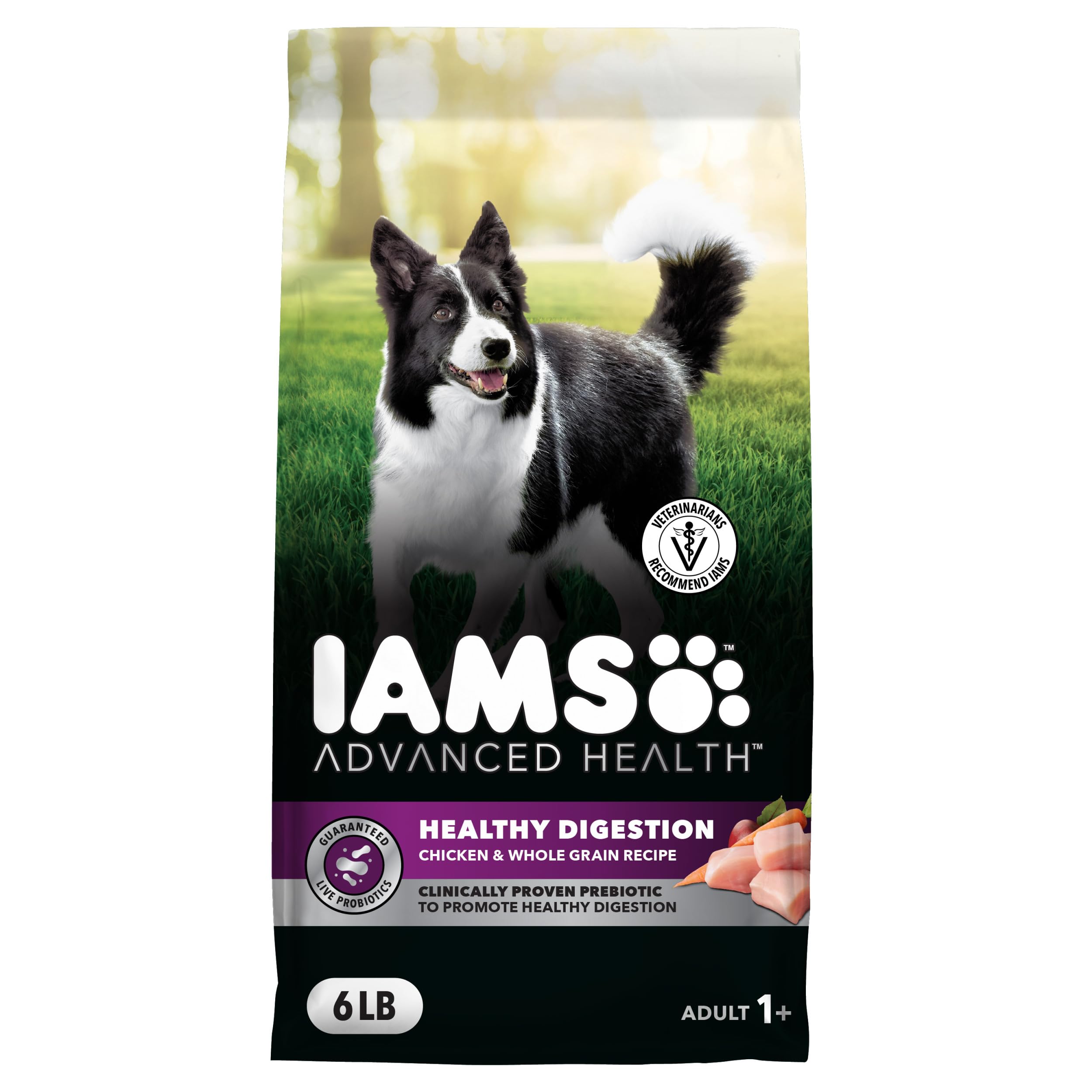 IAMS Advanced Health Adult Healthy Digestion Dry Dog Food with Real Chicken, 6 LB