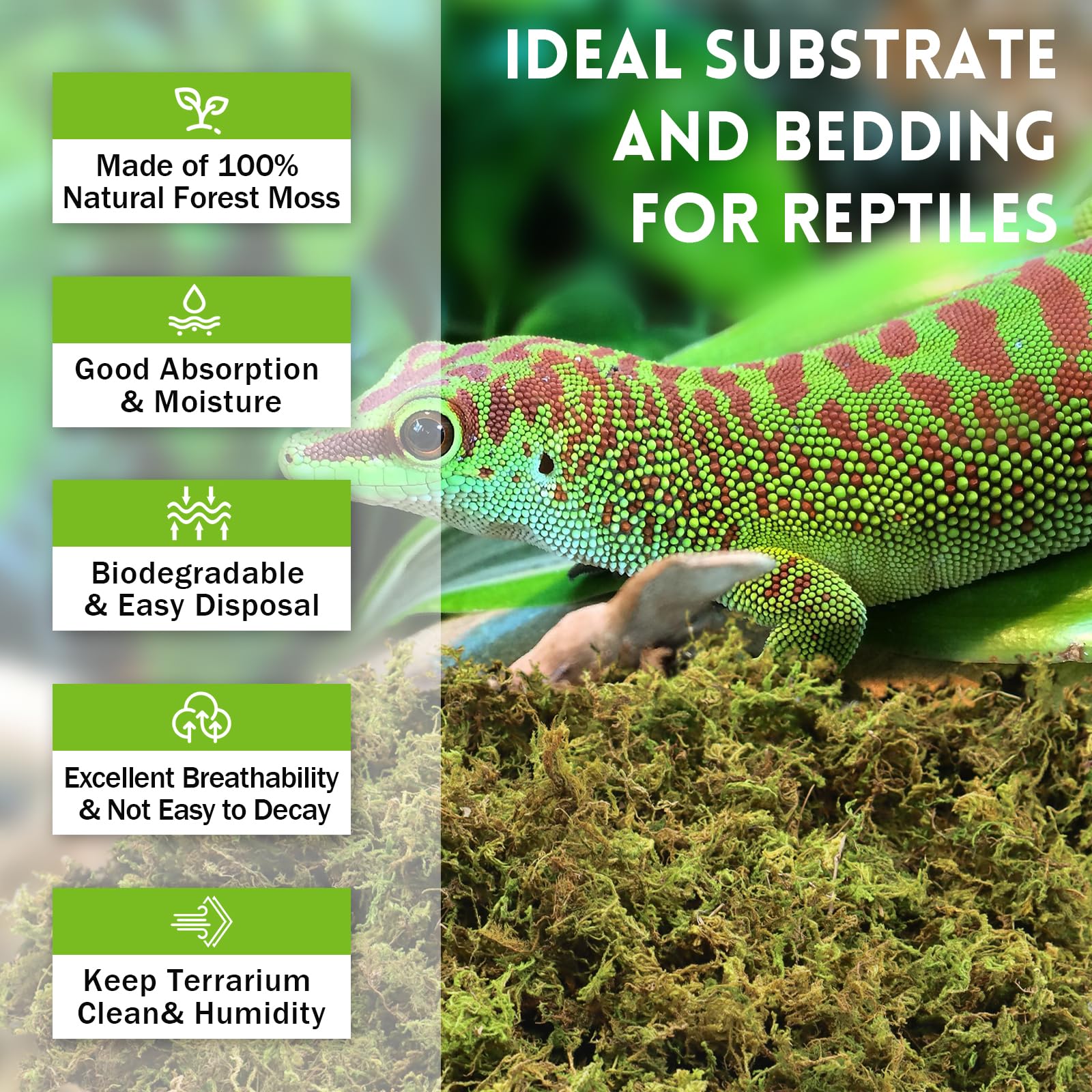 Riare 3.5 OZ Premium Sphagnum Moss for Reptiles- 4QT Natural Live Moss Reptile Moss Bedding for Terrarium, Hatching, Forest Sphagnum Moss Reptile Substrate for Snakes, Gecko, Turtles, Frogs, Leopard - image 3