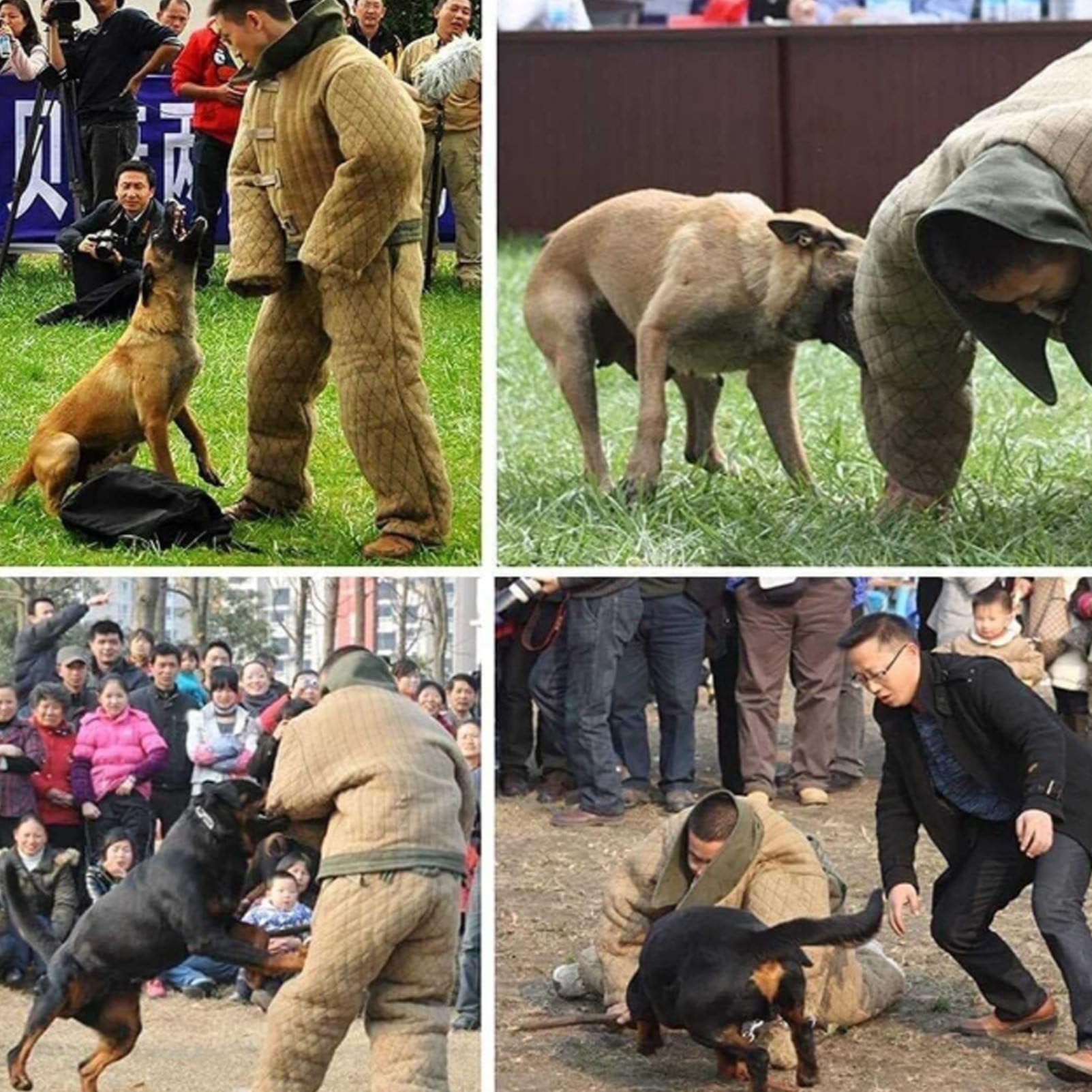 Mono antimordeduras, traje de adiestramiento canino, ropa protectora para adiestramiento canino - Traje de adiestramiento canino policía para perros medianos y grandes.,L