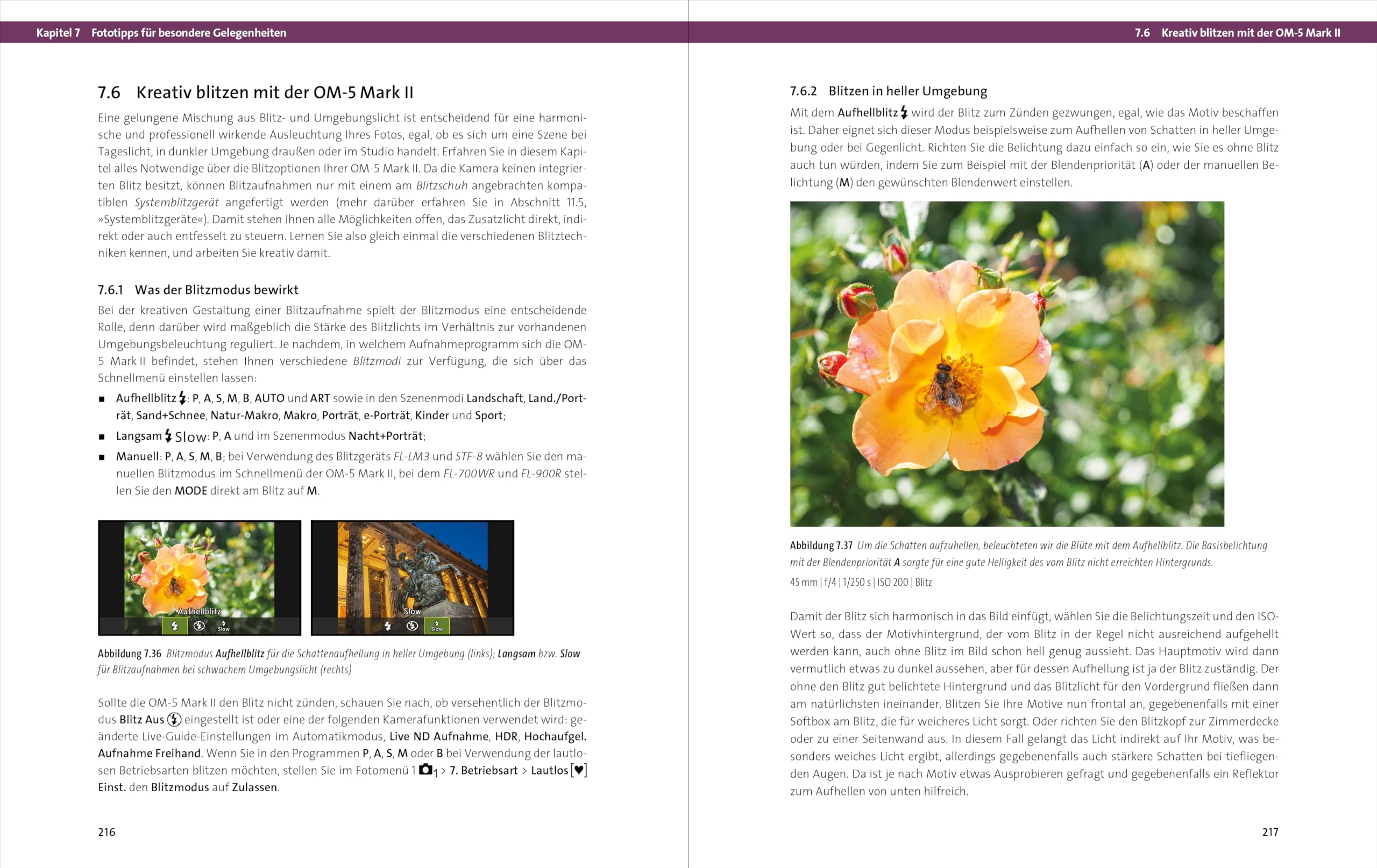 OM System OM-5 Mark II: Das Handbuch zur Kamera. Alle Funktionen, Programme und kreative Möglichkeiten für Foto und Video