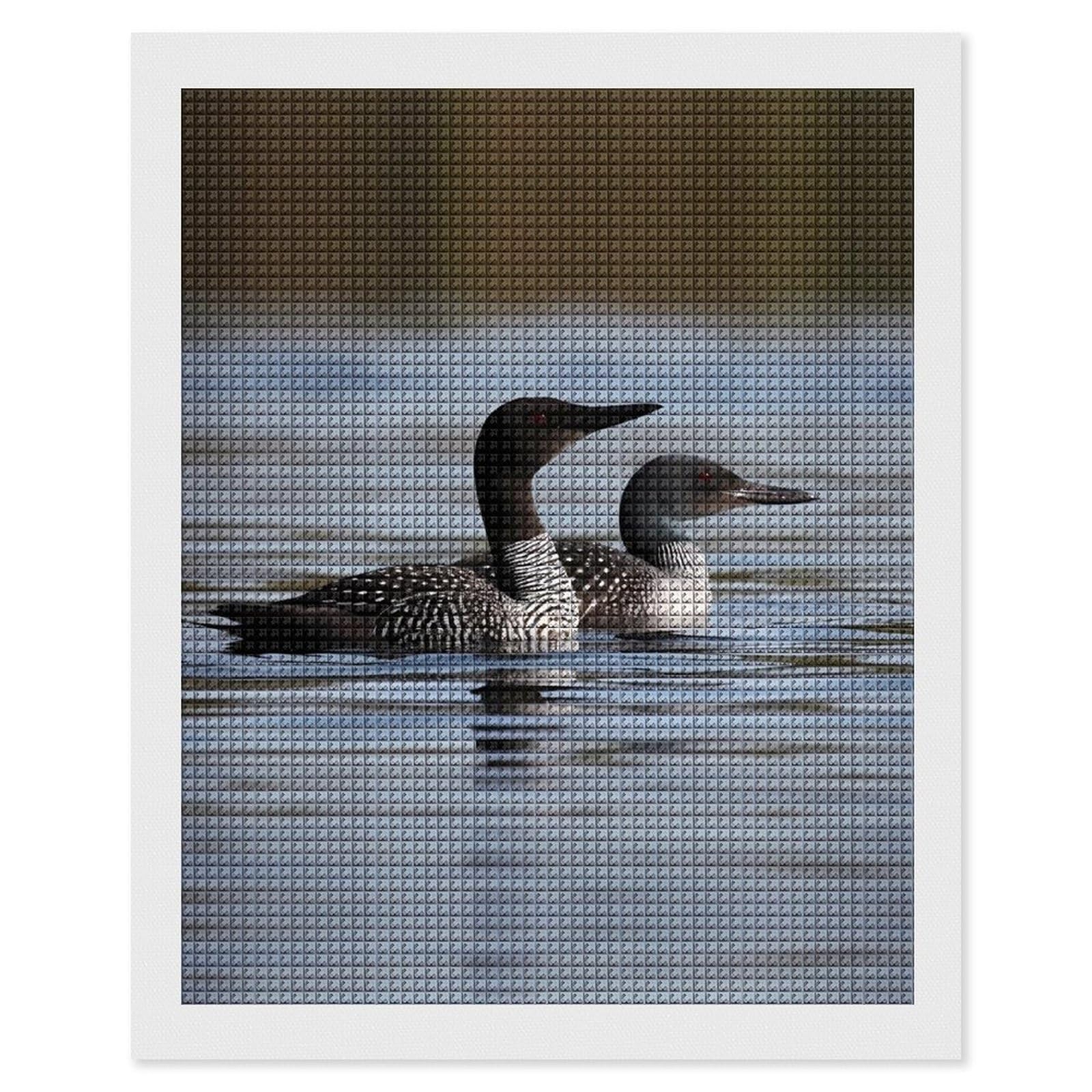 FodPand Loon Birds 5D Diamond Painting Kits for Adults Beginners Full Drill Square Diamond Dots Pictures Gem Art Supplies for Home Wall Room Decoration DIY Craft Set Gift 16x20