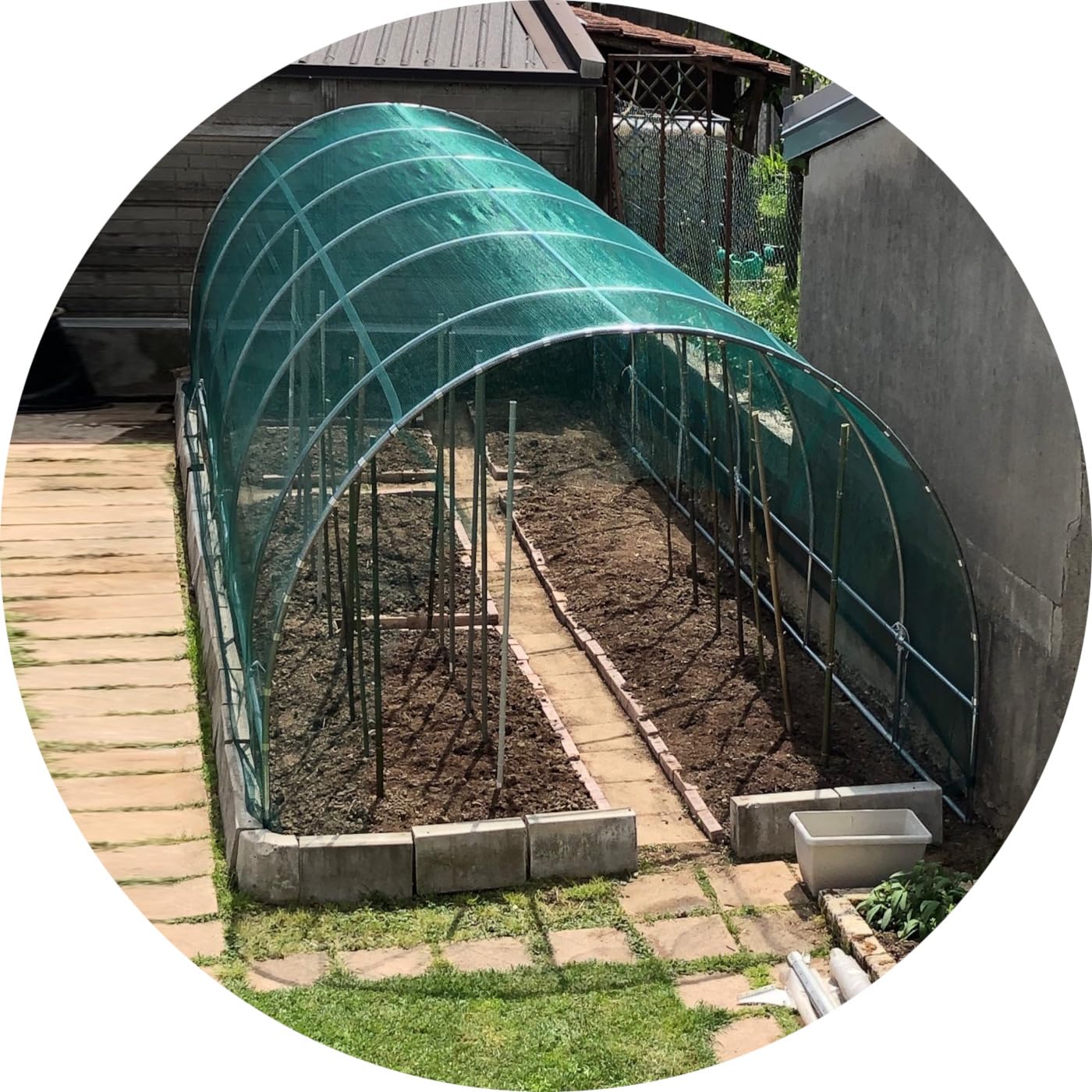 Serra tunnel 3x6m con rete antigrandine Made in Italy orto giardino piante vivaio serre botaniche