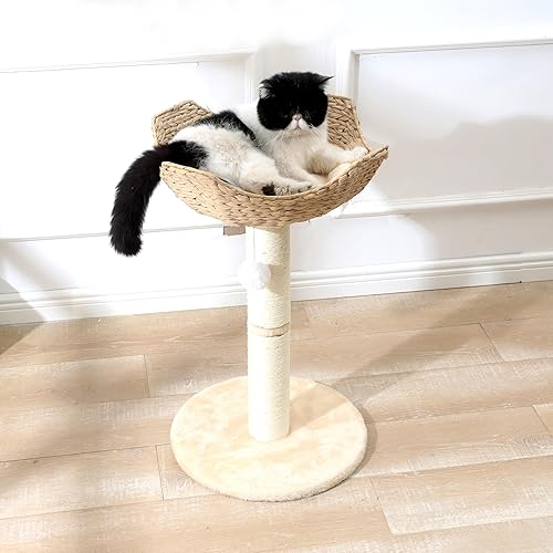 Vista 18 de SHENGOCASE Torre de árbol para gatos con cesta de mimbre de ratán, 3 cestas nido grandes tejidas a mano, percha de ventana para gatos grandes